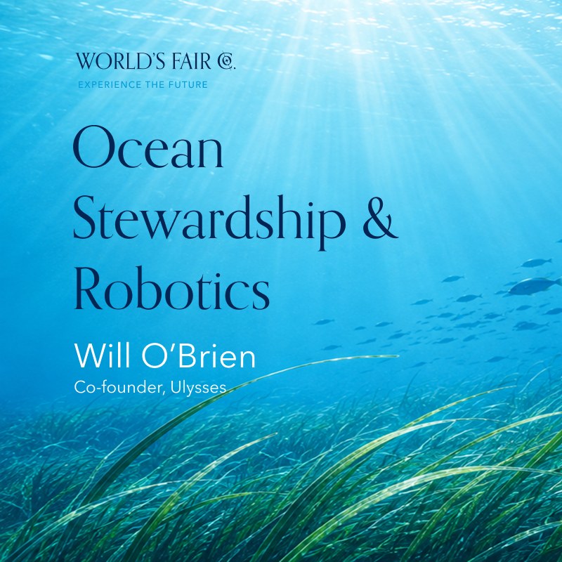Ocean Stewardship & Robotics with Will O'Brien, co-founder of Ulysses &mdash; an underwater view of sunlit seagrass.