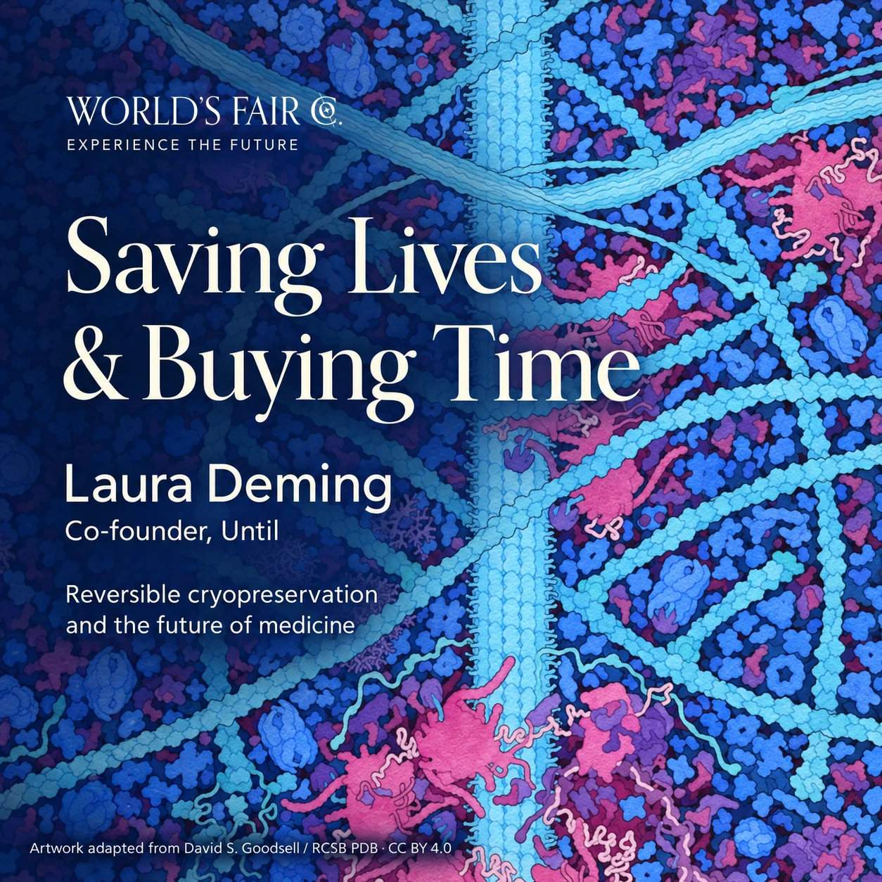 Saving Lives & Buying Time with Laura Deming — World’s Fair Co., illustrated with molecular cell artwork