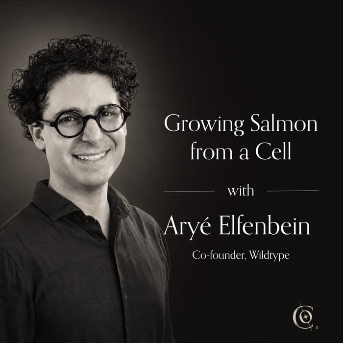 Aryé Elfenbein, co-founder of Wildtype